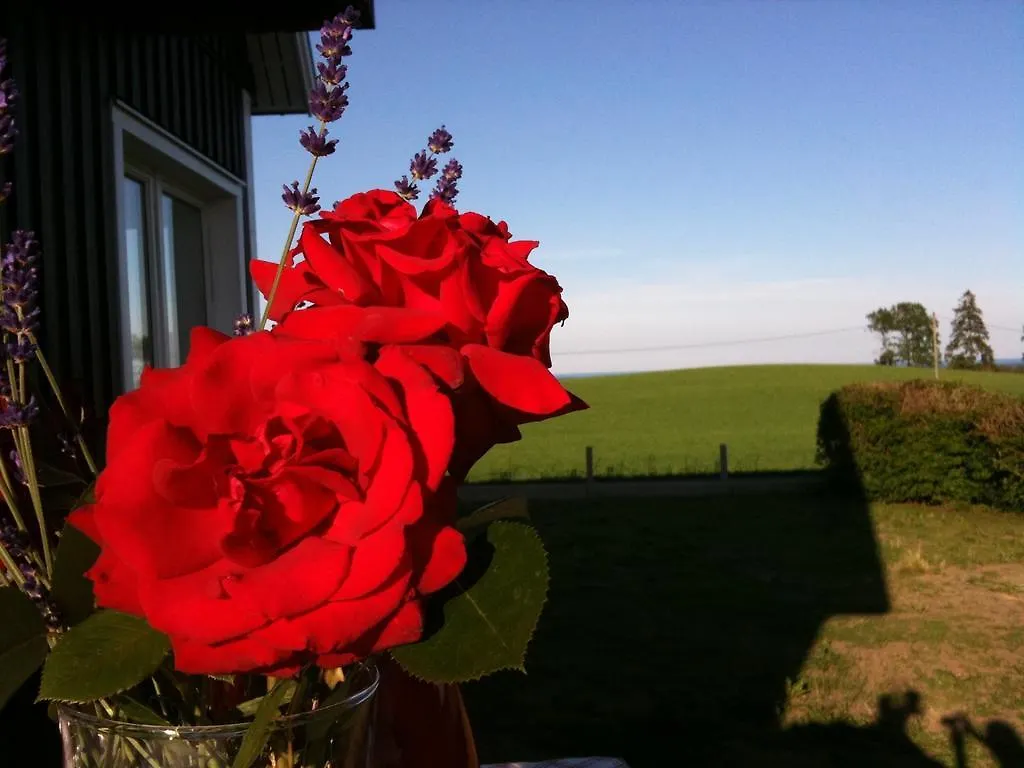 Cocoon Meetings Bed and Breakfast Degeberga